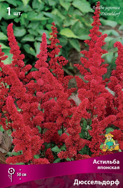 ����  ���������� �������� ����� ��������� �������� �������� �����������, 1 ��., ������ �� 315 ���