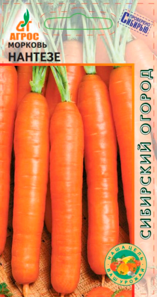 ����  ������ ����� ������� �������, 2 � ��������� ������, ������ �� 55 ���