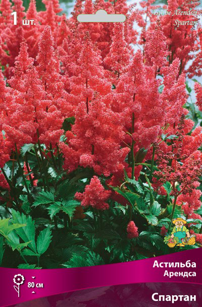 ����  ���������� �������� ����� ��������� �������� ������� �������, 1 ��., ������ �� 335 ���