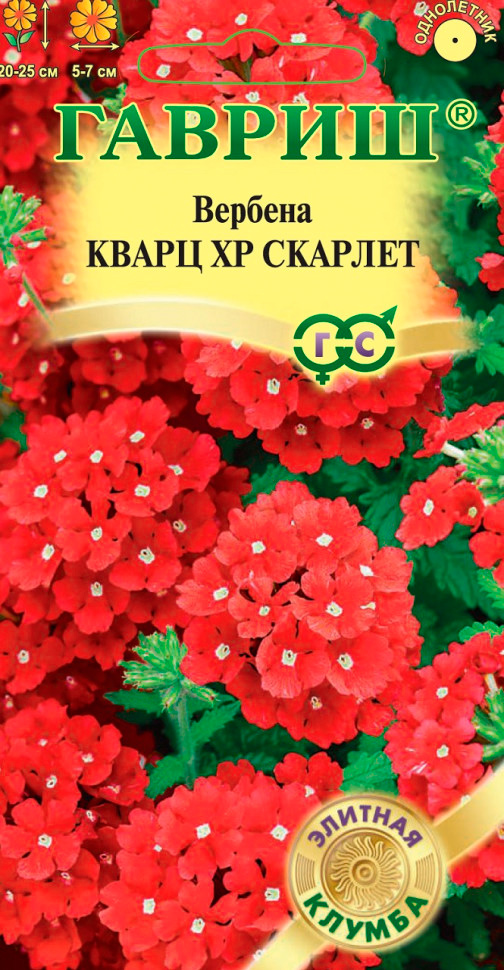 ����  ������ ������ ������� ��������� ����� �� �������, 5 ��. ������� ������, ������ �� 65 ���