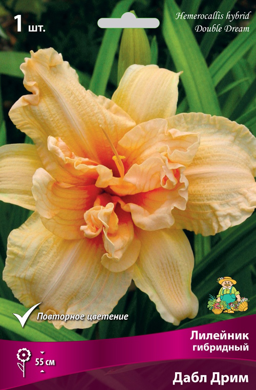 ����  ���������� �������� ����� ��������� �������� ��������� ���� ����, 1 ��., ������ �� 575 ���