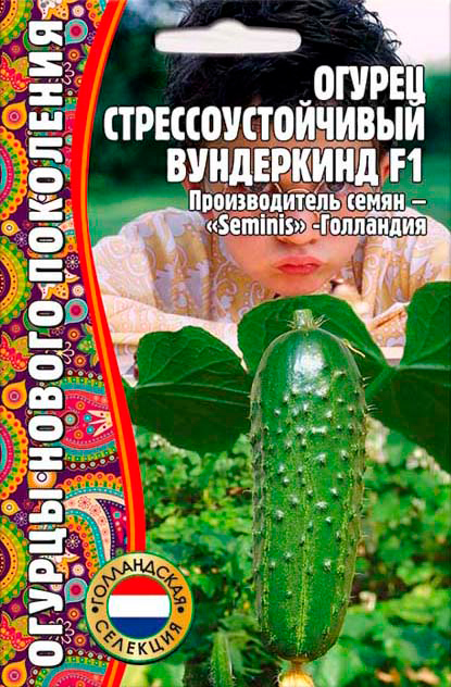        F1,, 5+1 .   ,   170 