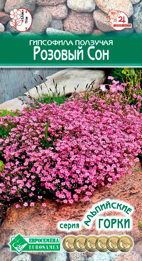 ����  ������ ���������� ��������� �������� ������� ���, 0,1 � ���������� �����, ������ �� 51 ���