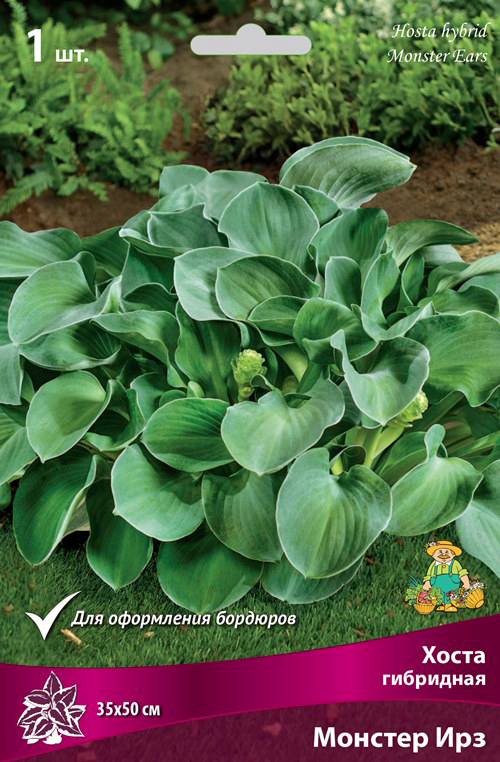 ����  ���������� �������� ����� ��������� ����� ��������� ������� ���, 1 ��., ������ �� 475 ���