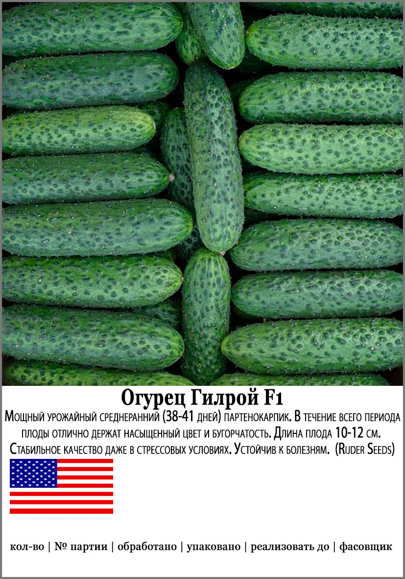    SEEDSPOST   F1, 5 .   Ruder seeds  ,   145 