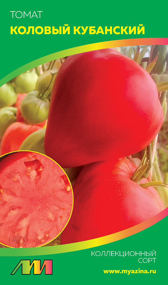 ����  ������ ������ ������ ����������� ����� ��������� �������, 5 ��. ������������� ����, ������ �� 138 ���