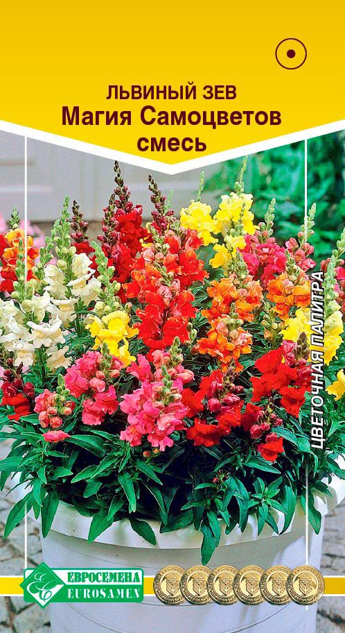 ����  ������ ���������� ������� ��� ����� ����������, �����, 0,1 �, ������ �� 65 ���