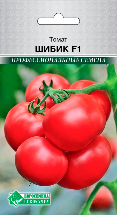 ����  ������ ���������� ����� ����� F1, 5 ��. ���������������� ������, ������ �� 89 ���