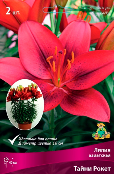 ����  ���������� �������� ����� ��������� ����� ��������� ��������� ����� �����, 2 ��., ������ �� 360 ���