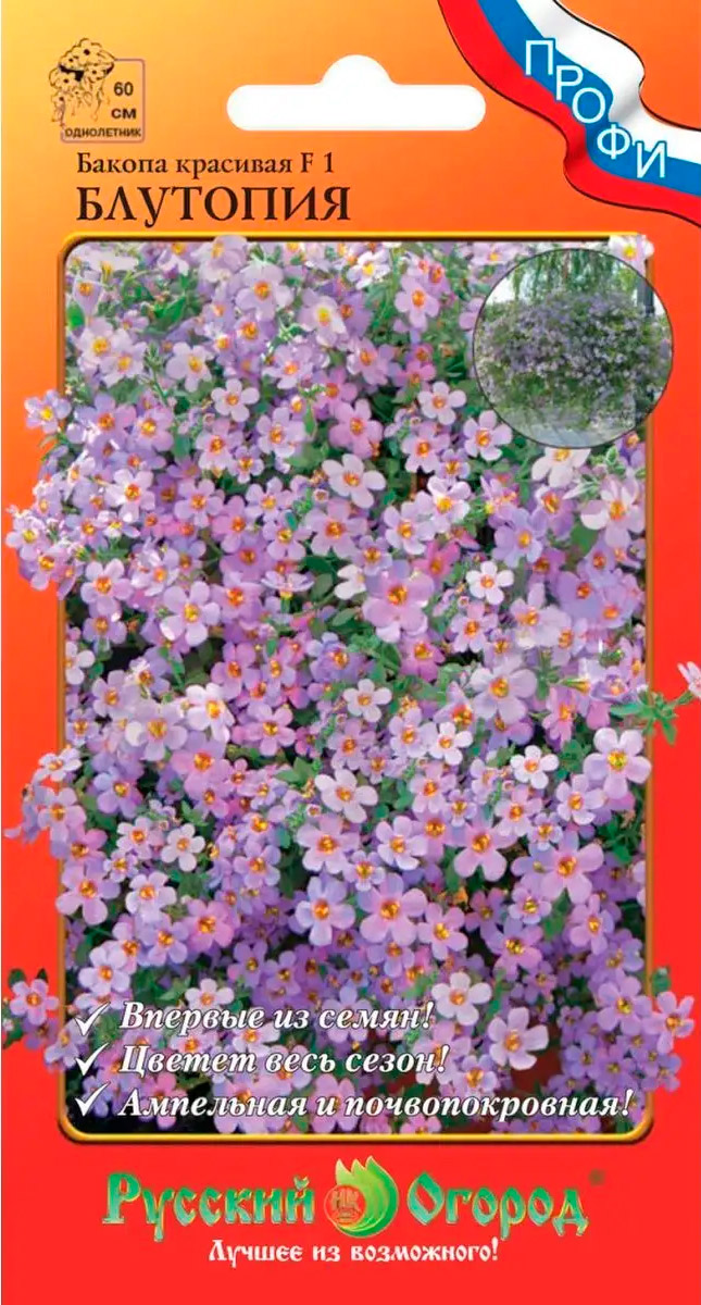 ����  ������ ������� ������ ������ �������� �������� F1, 5 ��. �����, ������ �� 249 ���