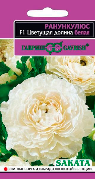         F1, 3 . Sakata ,   148 