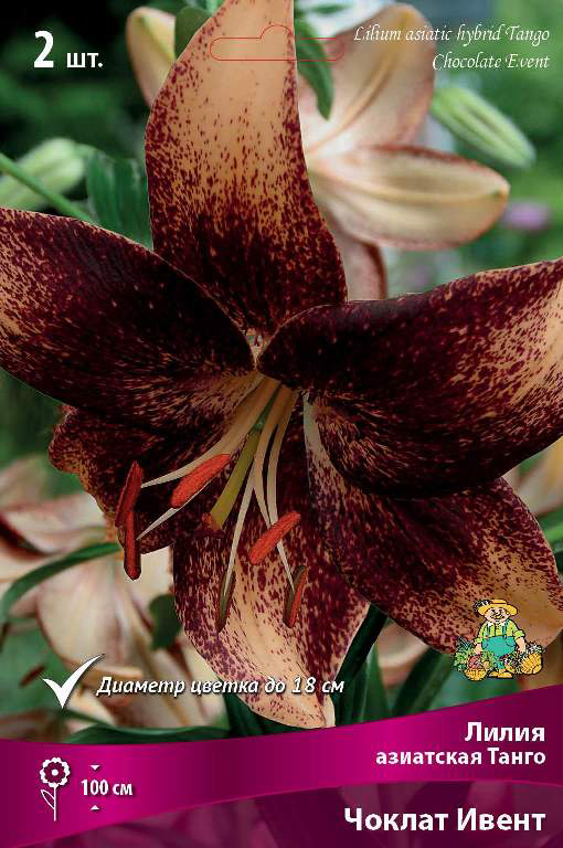 ����  ���������� �������� ����� ��������� ����� ��������� ����� ������ �����, 2 ��., ������ �� 545 ���