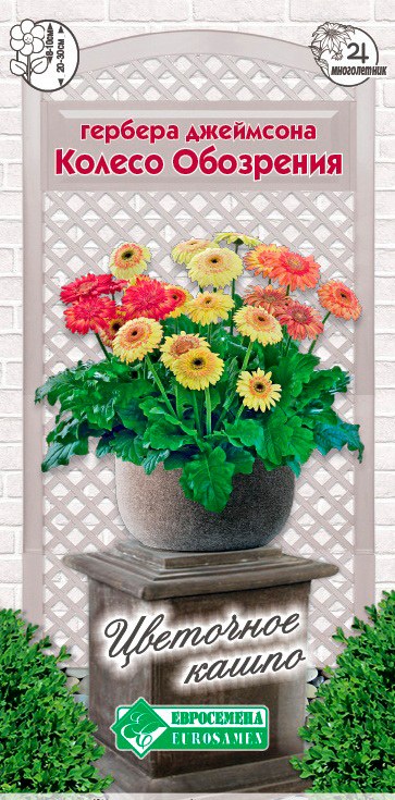 ����  ������ ���������� ������� ��������� ������ ���������, 3 ��. ��������� �����, ������ �� 295 ���