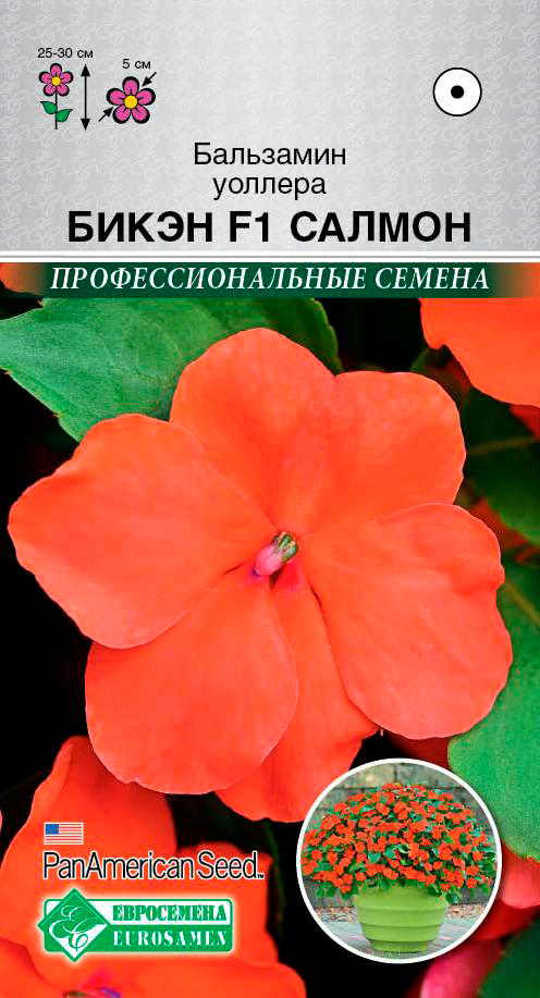 ����  ������ ���������� ��������� ������� ����� ������  F1, 5 ��. PanAmerican ���������������� ������, ������ �� 98 ���