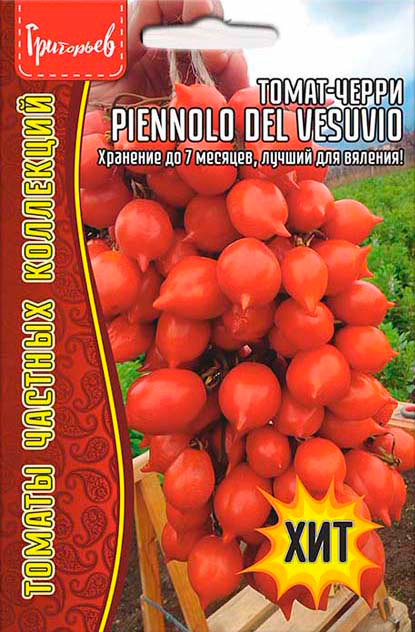     - Piennolo del Vesuvio, 5 .   ,   145 