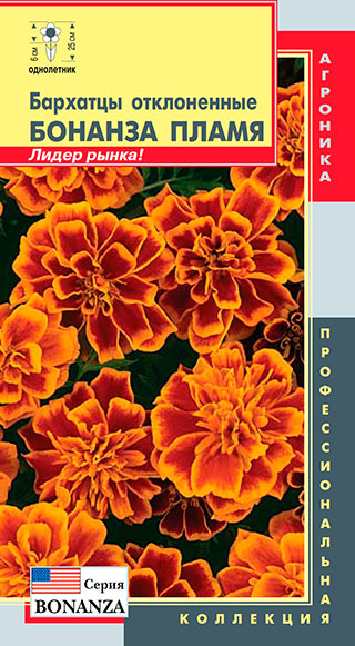 ����  ������ ������� �������� ������� �����, 10 ��. ���������������� ���������, ������ �� 57 ���