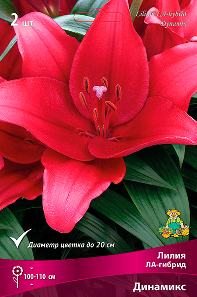 ����  ���������� �������� ����� ��������� ����� ��-������ ��������, 2 ��., ������ �� 325 ���