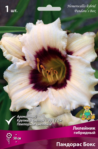 ����  ���������� �������� ����� ��������� �������� ��������� �������� ����, 1 ��. NEW, ������ �� 485 ���