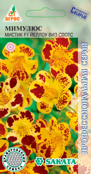          F1, 10 . Sakata  ,   85 