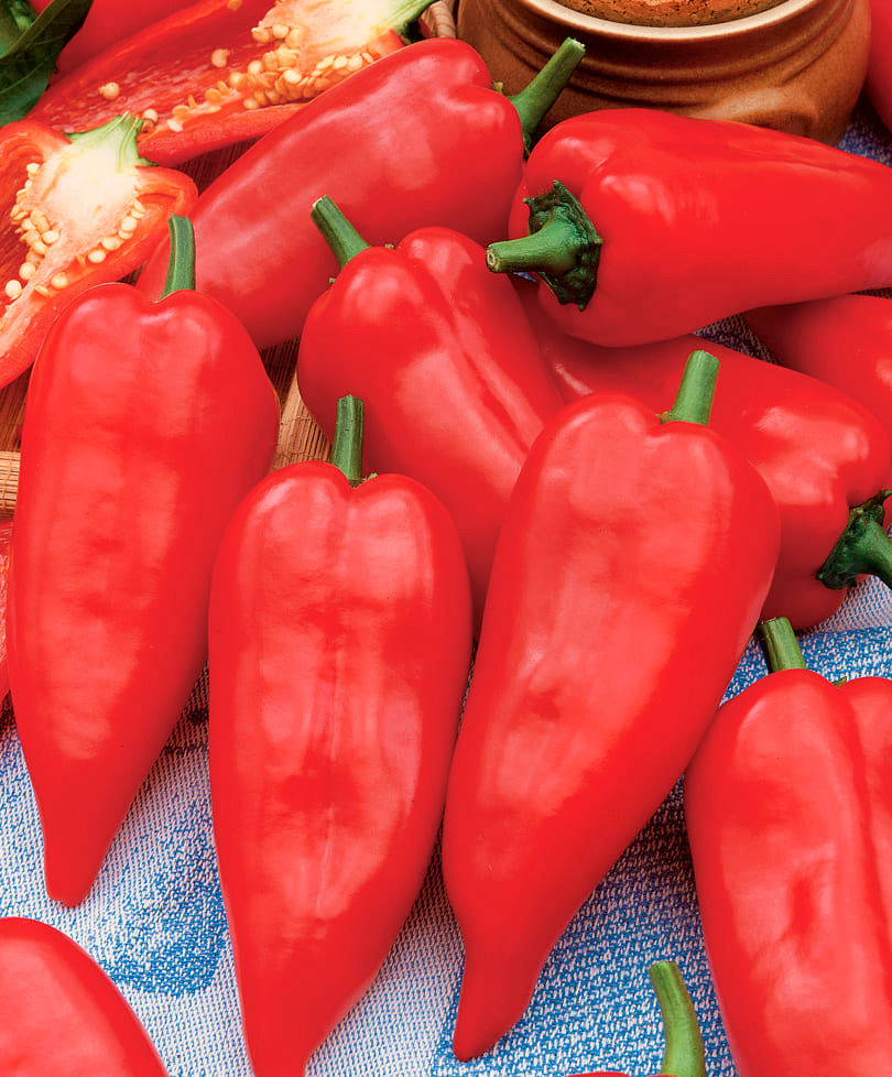 ����  ������ ���� ������ ����� ������� ������ F1, 5 ��., ������ �� 125 ���