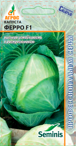 ����  ������ ����� ������� ������������ ����� F1, 15 ��. Seminis ���������������� �����, ������ �� 75 ���