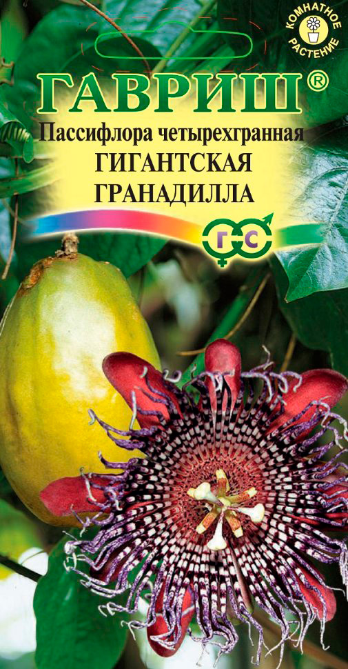 ����  ������ ������ ���������� �������������� ���������� ����������, 3 ��., ������ �� 175 ���