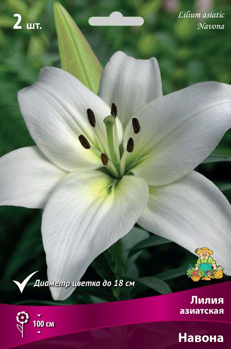 ����  ���������� �������� ����� ��������� ����� ��������� ������, 2 ��., ������ �� 360 ���