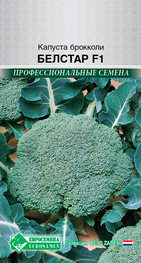 ����  ������ ���������� ������� �������� ������� F1, 10 ��. Enza Zaden ���������������� ������, ������ �� 89 ���