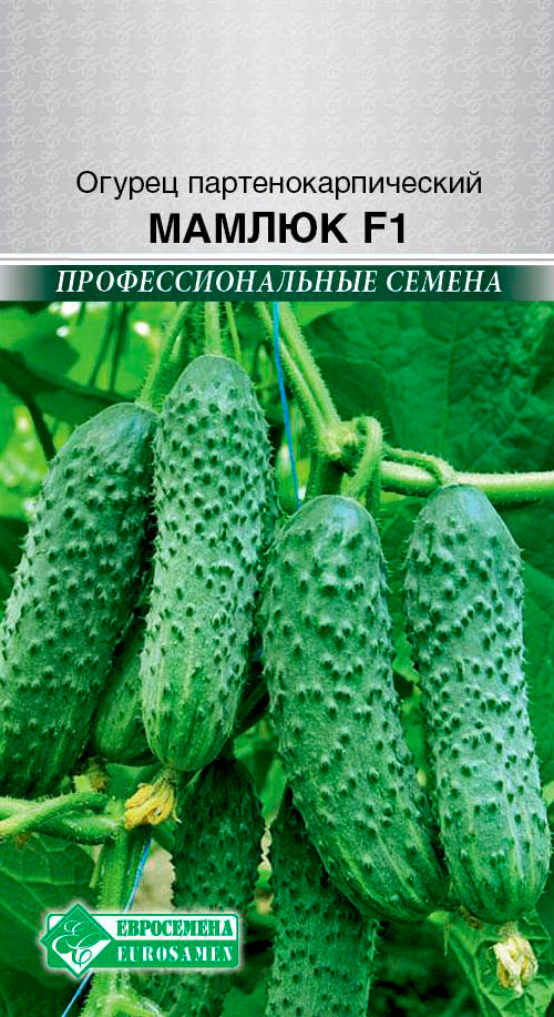 ����  ������ ���������� ������ ������ F1, 5 ��. ���������������� ������, ������ �� 113 ���