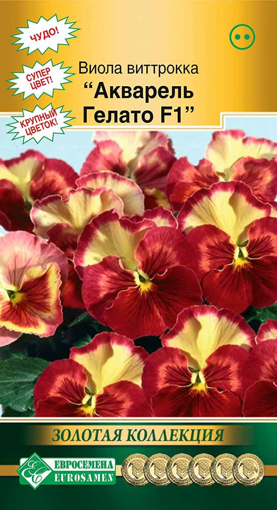 ����  ������ ���������� ����� �������� �������� ������ F1, 10 ��. ������� ���������, ������ �� 98 ���