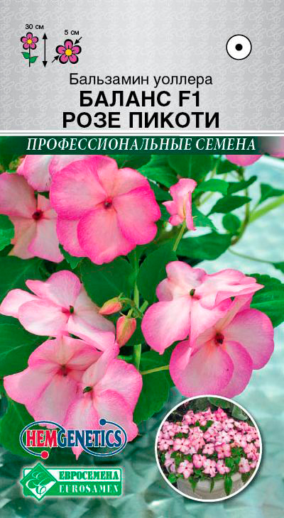          F1, 5 . Hem Genetics,   65 