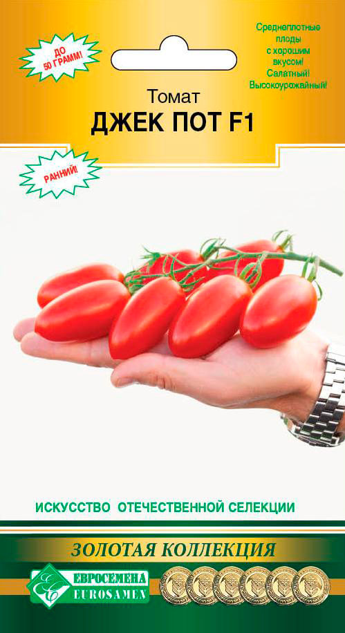 ����  ������ ���������� ����� ���� ��� F1, 5 ��. ������� ��������� (��), ������ �� 158 ���