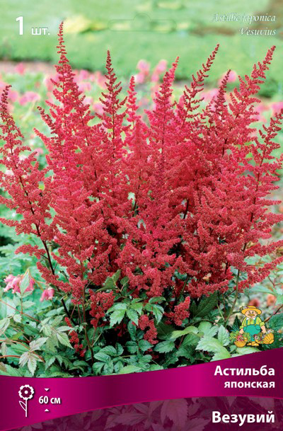 ����  ���������� �������� ����� ��������� �������� �������� �������, 1 ��., ������ �� 315 ���