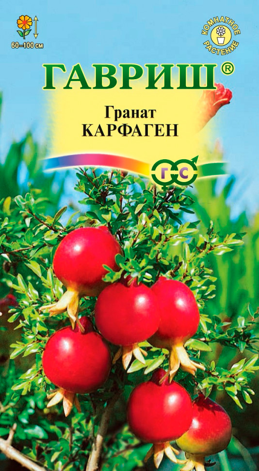 ����  ������ ������ ������ ���������� ��������, 5 ��., ������ �� 98 ���