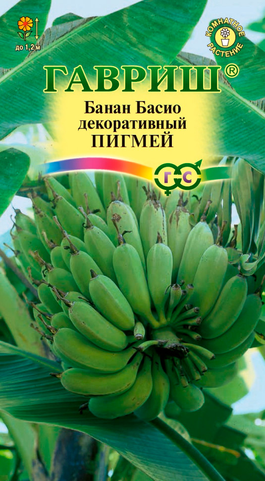 ����  ������ ������ ����� ����� ������������ ������, 3 ��., ������ �� 145 ���