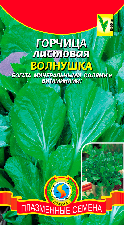 ����  ������ ������� ������� �������� ��������, 1 �, ������ �� 30 ���