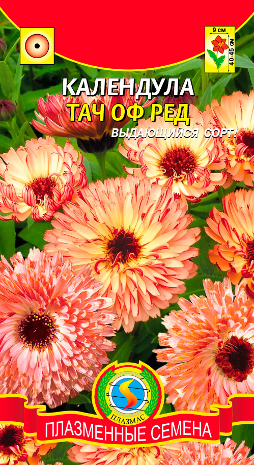 ����  ������ ������� ��������� ��� �� ���, 0,15 �, ������ �� 41 ���