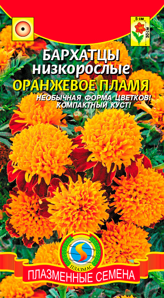 ����  ������ ������� �������� ����������� ��������� �����, 45 ��., ������ �� 45 ���