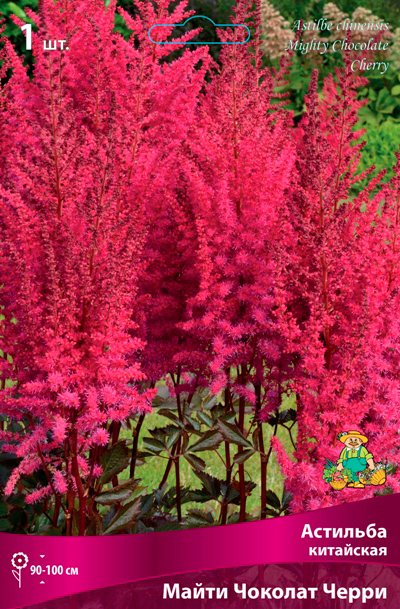 ����  ���������� �������� ����� ��������� �������� ��������� ����� ������� �����, 1 ��., ������ �� 470 ���