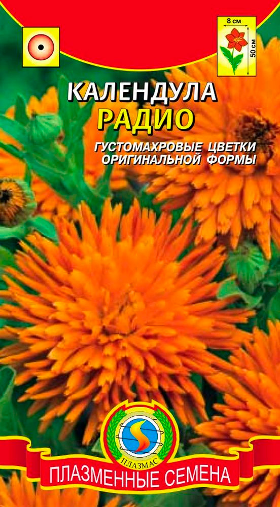 ����  ������ ������� ��������� �����, 0,3 �, ������ �� 39 ���