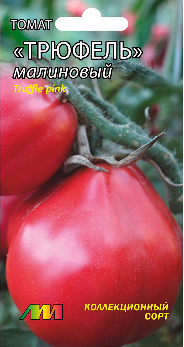 ����  ������ ������ ������ ����������� ����� ������� ���������, 5 ��. ������������� ����, ������ �� 98 ���