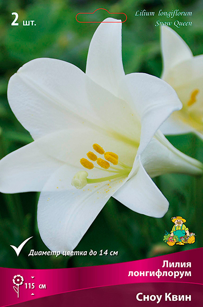 ����  ���������� �������� ����� ��������� ����� ����������� ���� ����, 2 ��., ������ �� 350 ���