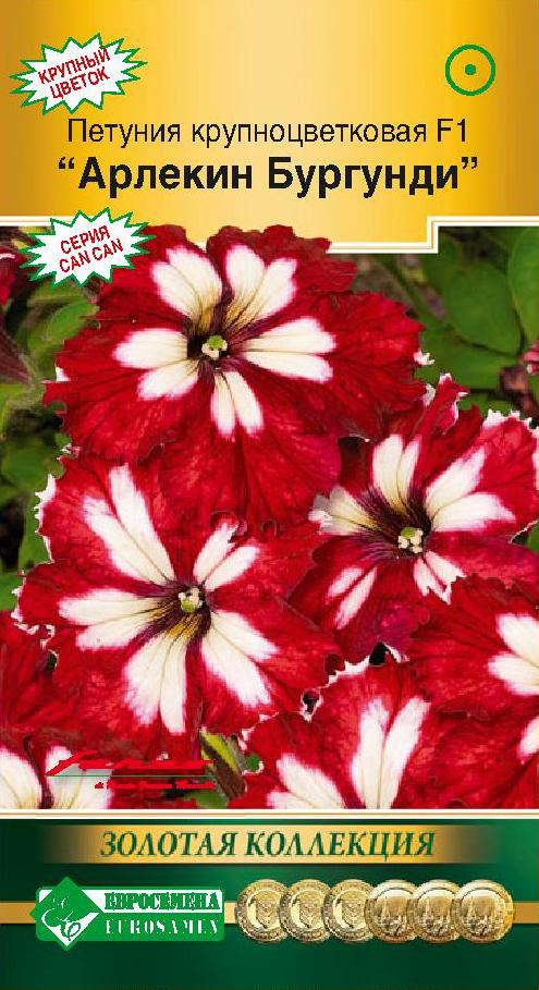 ����  ������ ���������� ������� ��������������� ������� �������� F1, 10 ����� Farao ������� ���������, ������ �� 88 ���