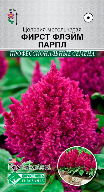         , 10 . PanAm Seeds  ,   75 