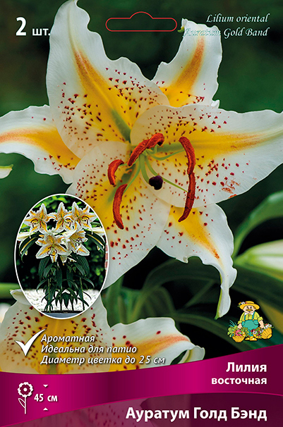 ����  ���������� �������� ����� ��������� ����� ��������� ������� ���� ���, 2 ��., ������ �� 545 ���