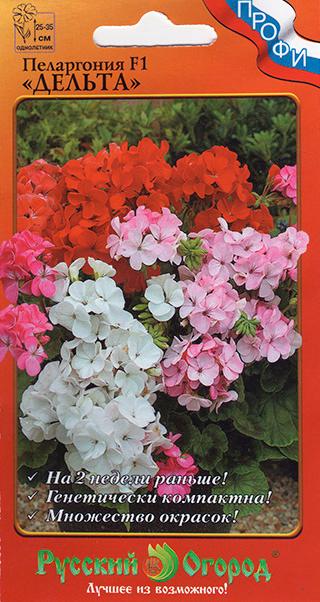 ����  ������ ������� ������ ���������� ������ F1, �����, 5 ��. �����, ������ �� 175 ���