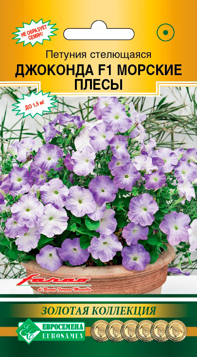 ����  ������ ���������� ������� ���������� �������� ������� ����� F1, 5 ����� Farao ������� ���������, ������ �� 149 ���