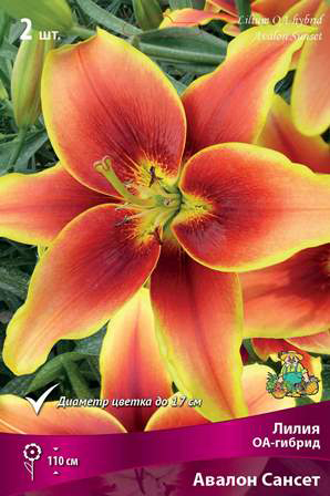 ����  ���������� �������� ����� ��������� ����� ��-������ ������ ������, 2 ��., ������ �� 495 ���