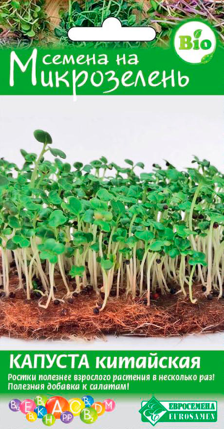 ����  ������ ���������� ����������� ������� ���������, 2 �, ������ �� 55 ���