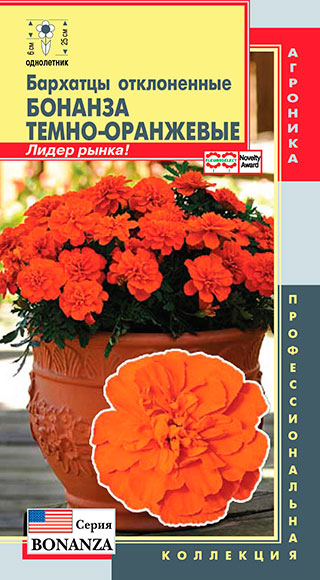 ����  ������ ������� �������� ������� �����-���������, 10 ��. ���������������� ���������, ������ �� 43 ���